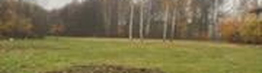 Zielonka działka na sprzedaż