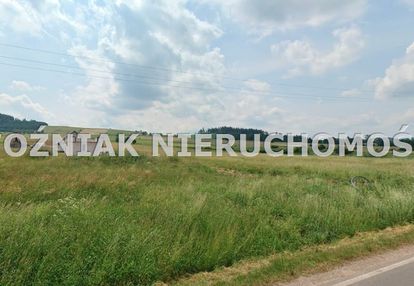 Działka w jaczkowie pod dom jednorodzinny