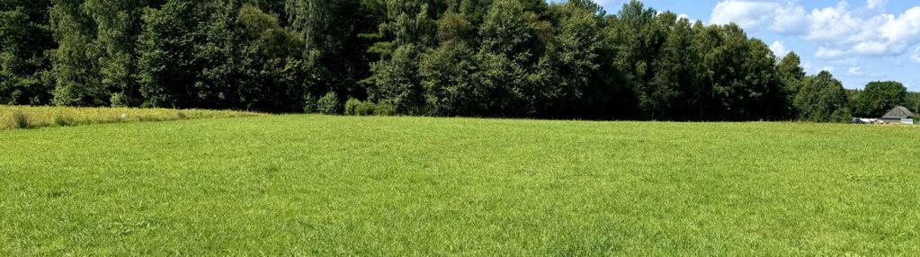 Pięknie położona działka pod lasem 30m od gdańska!