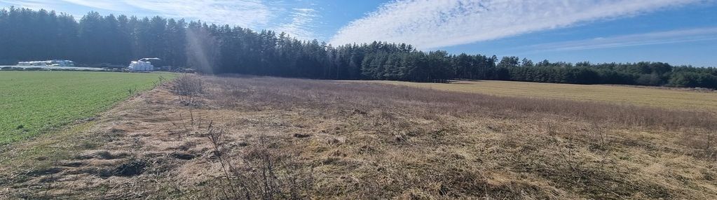 Działka z lasem w augustowie