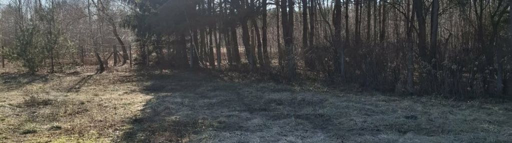 Działka budowlana - las, cisza, natura