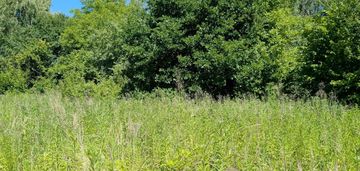 Wróblowice 8a działka budowlana.