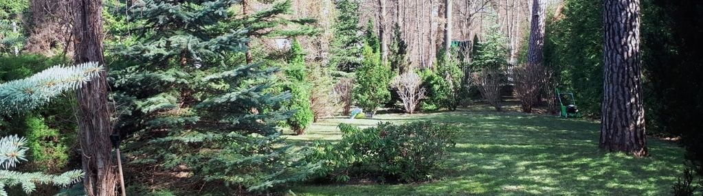 Działka budowlana w zalesiu dolnym