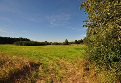 Stojkowo działka rolna