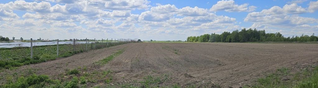 Działka rolna z wz 1,77 ha