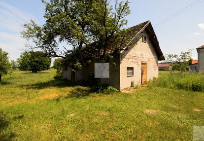 Duża działka z drewnianym domkiem i budynkiem gosp