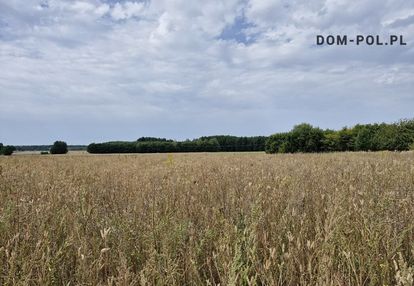 Do sprzedaży działka rolno-leśna