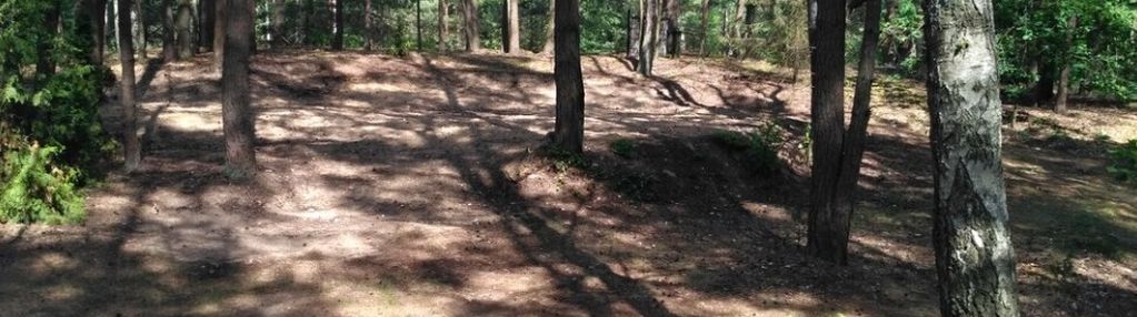 Działka w lesie 2064 m² - letniskowa i całoroczna