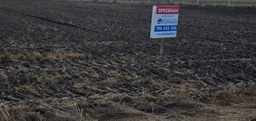 Działka na sprzedaż w lubaszu  (wielkopolska)