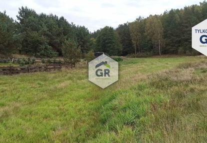 Przestronna działka - nowa wieś kościerska/kaszuby