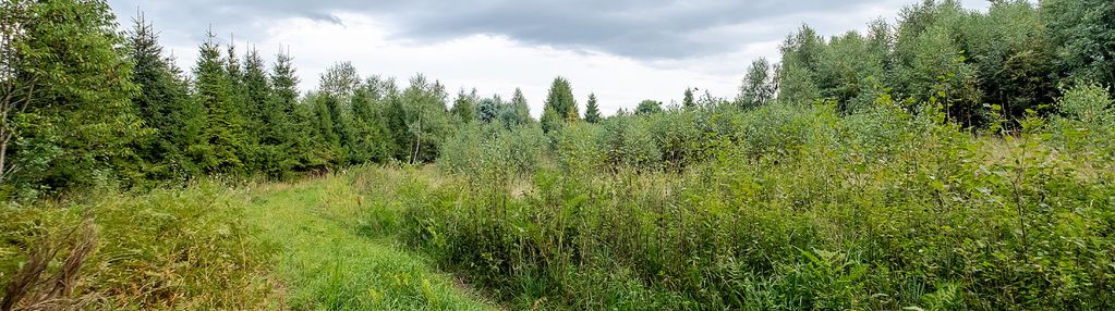 Działki ok. 1000 m² | domatowo | spokojna lokaliza