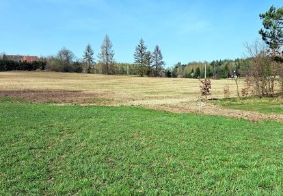 Działka pod zabudowę rekreacyjno-usługową