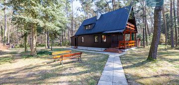 Piękna działka z lasem i domem drewnianym