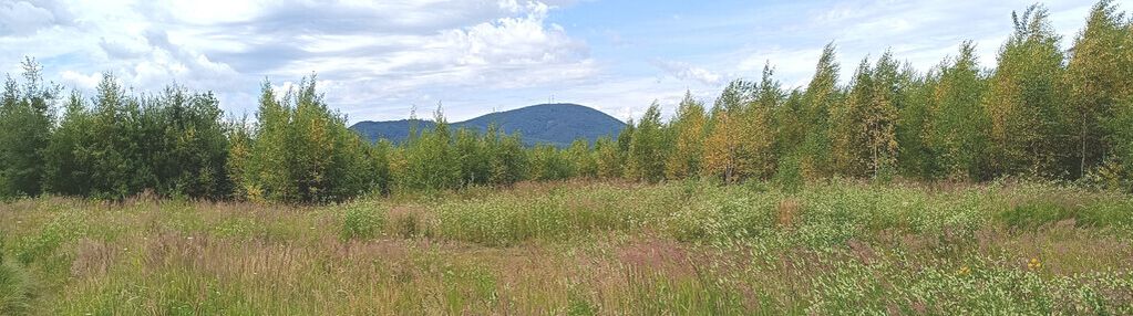 Widokowa, usługowa działka z mediami w wałbrzychu
