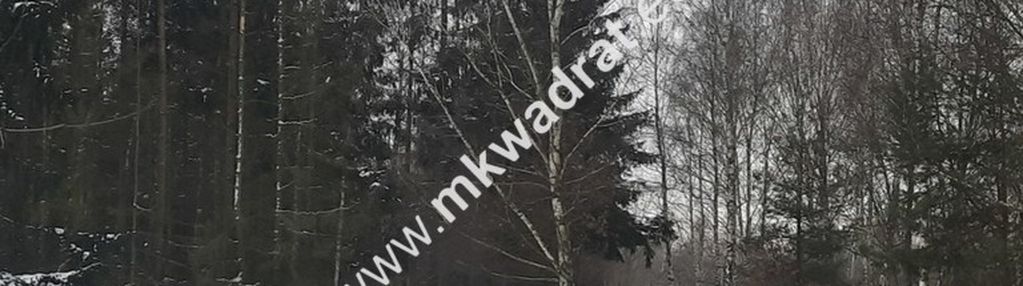 Duża działka z planem zagosp. 1mn lux lokalizacja!