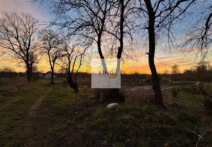 Działka budowlana 7037m2 na sprzedaż w gryfinie