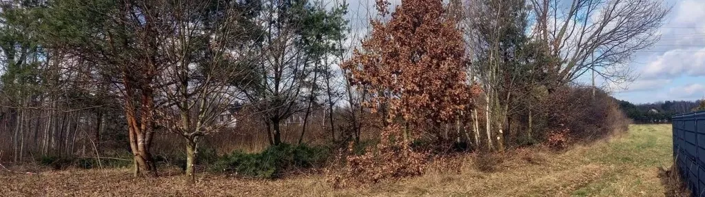 Działka na sprzedaż 6000m2