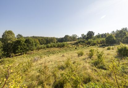 Przepiękna działka pod zabudowę jednorodzinną