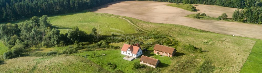 Duże siedlisko - 22,8 ha, lutry, pow. olsztyński