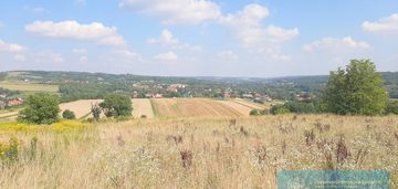 18 arów z pięknym widokiem/ chmielnik