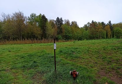 Trzy działki w leśnie k/kielna z wz-ką z 2023r.