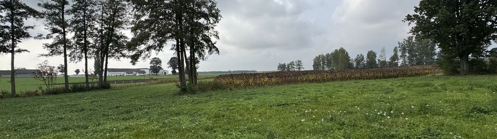 Działka 300 m² z warunkami zabudowy – kozjaty, gm. topólka