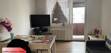 Kawalerka dla ciebie - wągrowiec