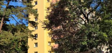 2 pokojowe w oliwie obok lasu