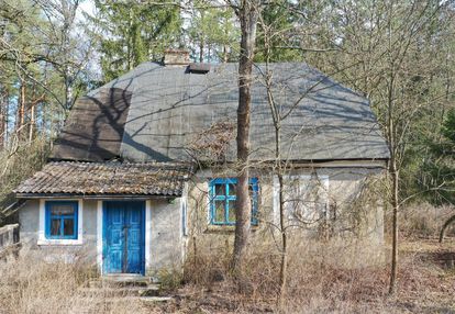 Na sprzedaż siedlisko w miejscowości szafranki – 4,444 ha