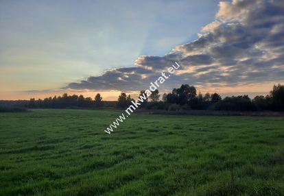 Działka w malowniczej okolicy i dobrej cenie.