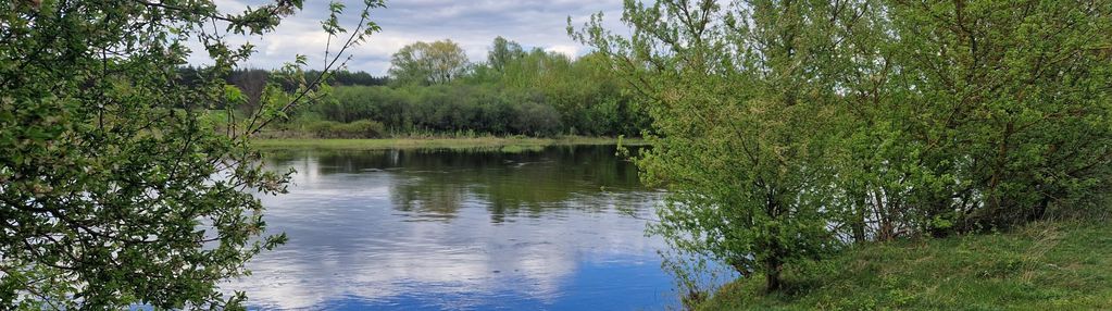 Działki z widokiem na narew nowogrodzie
