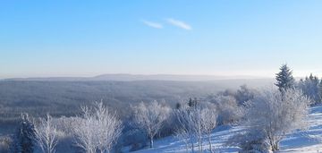 Działka budowlana w zieleńcu.