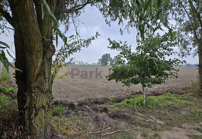 Idealne miejsce na twój dom