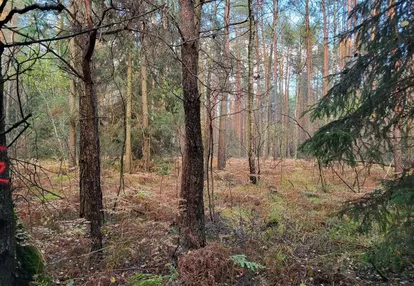 Działka na sprzedaż 6400m2