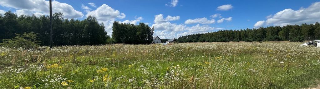 Działka z widokiem na las - śladków mały