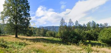 Działka pod projekt hotelowy w świeradowie-zdroju