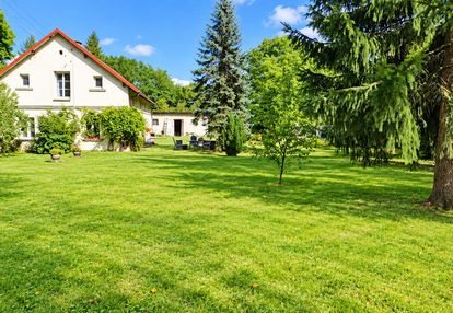 Siedlisko - dom plus teren 1,1020 ha . kedrzyno gmina siemyśl
