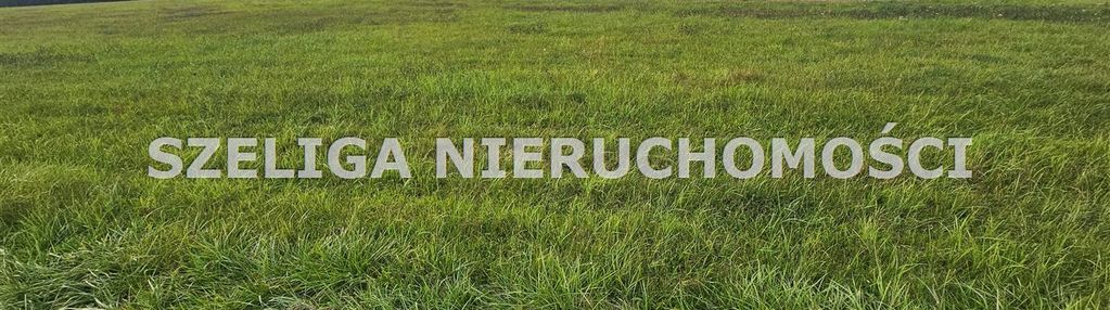 Kleszczów, ul. kozielska