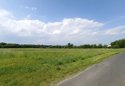 Twój azyl pod strykowem – 4760 m² ciszy i natury