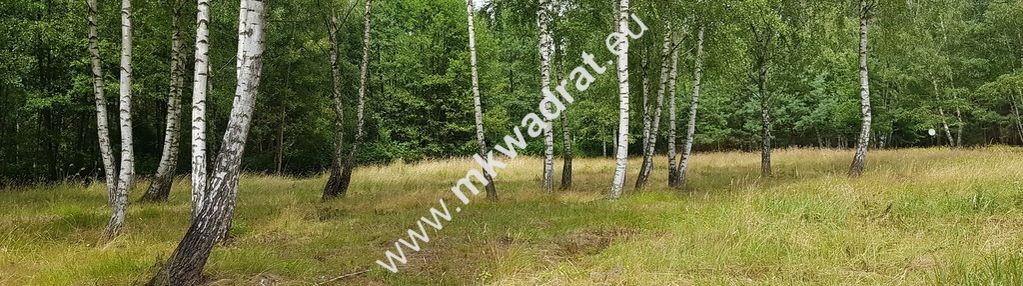 Energią na działce