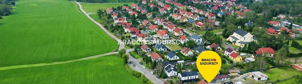 Dom przy polach witkowickich, prądnik biały