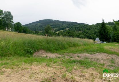 Działka budowlana u podnóży śnieżnika
