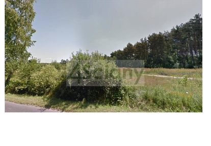 Las i strzeniówka = dom