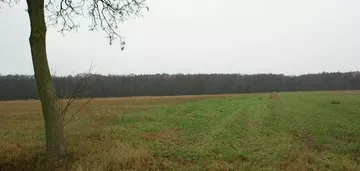 Działka na sprzedaż 451m2