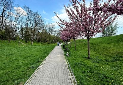 Własny park ! idealne dla każdego ! okazja !