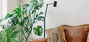 Idealne dla singla lub pary_słoneczne