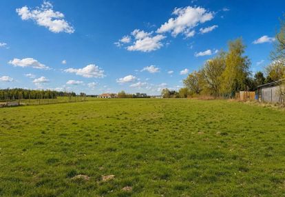 Działka budowlana kicin k. poznania natura, cisza