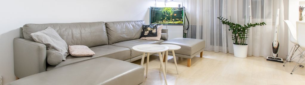 P. biały | opolska | 3 pok | 45m2 | piwnica |eng