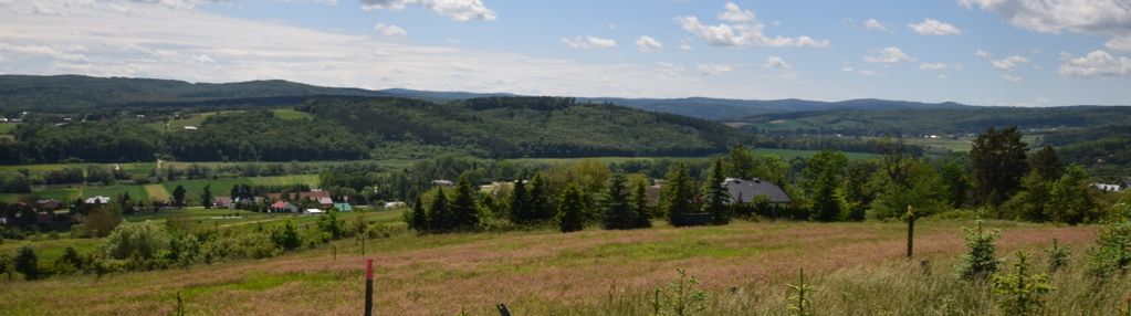 Przemyśl- wapowce widokowa działka na sprzedaż !!!