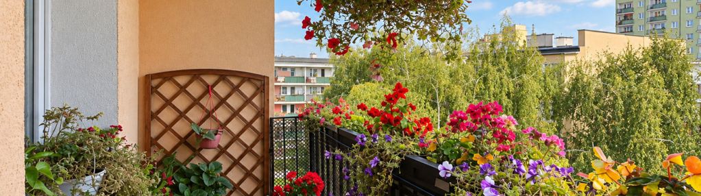 3 pokoje | 59,2 m² | 2 łazienki | balkon | czuby